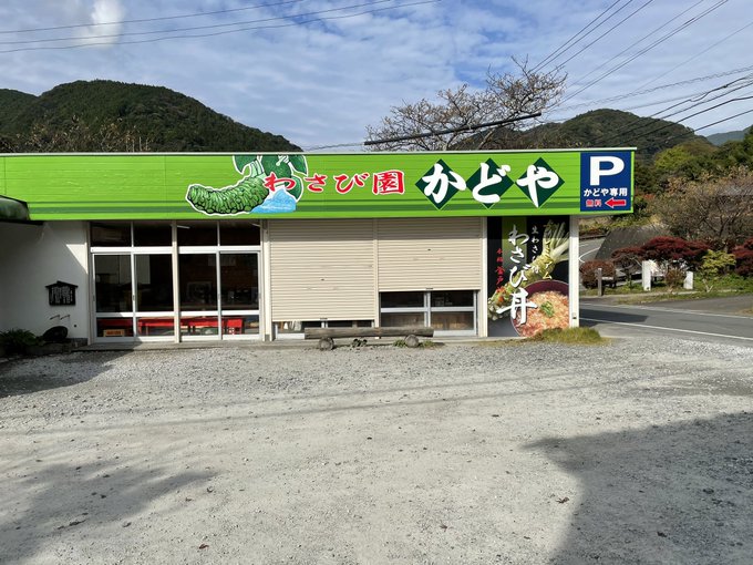 念願のわさび丼うまうま 