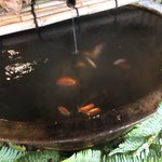 ツイートに含まれる画像