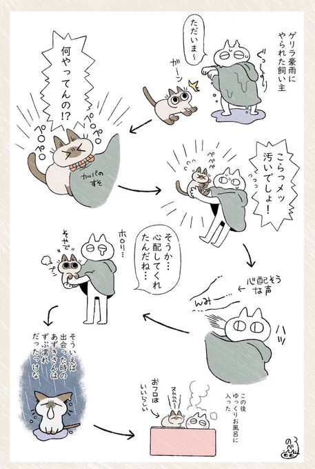 ゲリラ豪雨とあずきさん(再) #シャム猫あずきさんは世界の中心 