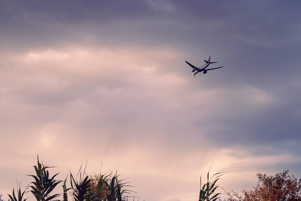 AlbertoSierra_'s tweet photo. -- ... LA MARCHA TROPICAL -- 🌴✈️🥥
.
🎶 > "Volando voy" del gran @kikoveneno.music 
.
.
.
.
.
#igerszgz #igersaragon #igersspain #Zaragoza #ongooglemaps #hellofrom #primerolacomunidad #communityfirst #hallazgosemanal #ok_spain #fotonline_es #exploreunited #visualsgang #createe… https://t.co/agmOEWf7JP