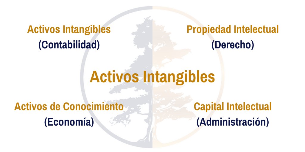 A los #ActivosIntangibles se les denomina indistintamente de acuerdo al ámbito de que se trate: