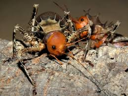 🕸️Azure Mist🕸 tweet media