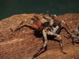 🕸️Azure Mist🕸 tweet media