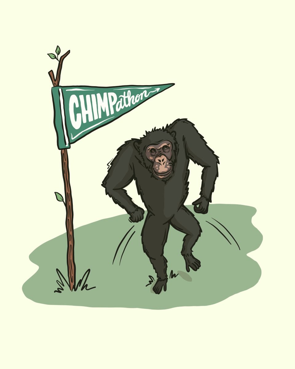 SaveTheChimps's tweet photo. Chimpathon is back in action and virtual! Join hundreds of people across the nation in raising money for Save the Chimps! Learn more https://t.co/VSFLslw8Rt! Plus, the first person from each state to register will receive a Save the Chimps Allie mask! #Chimpathon #DocTheChimp https://t.co/5LpYqhIhtv