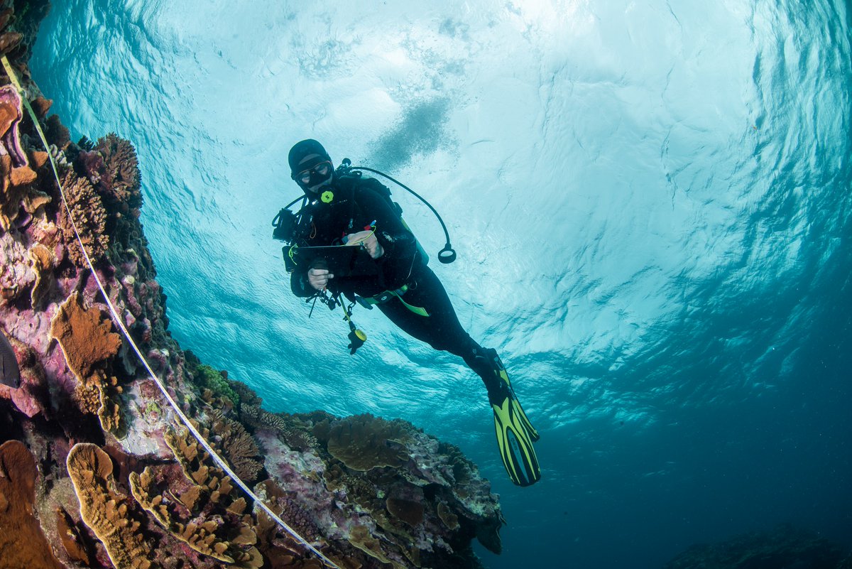 Reef Life Survey tweet media