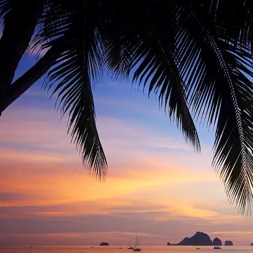 The sunsets in Krabi remain as beautiful as ever.
พระอาทิตย์ตกที่กระบี่สวยงามเสมอ

It is time to plan your vacation - contact us today: 
📧 dtkr@dusit.com
📞 075 628 000
💬 Contact us through Facebook Messenger

#dusitkrabi #dusit #krabi #bewell