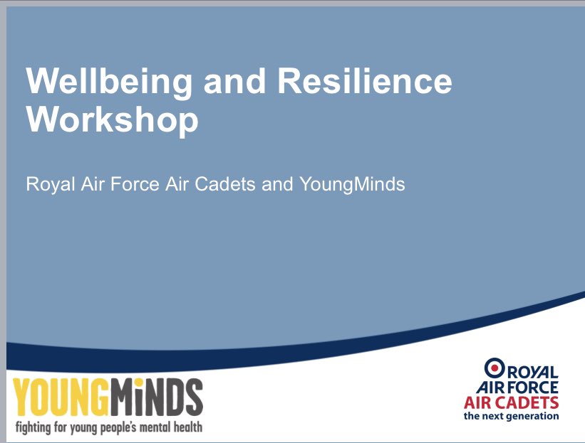 Thank you to South West Region, another 28 Newley trained wellbeing and resilience trainers. Thank you to Sqn Ldr Knell for co -Training.