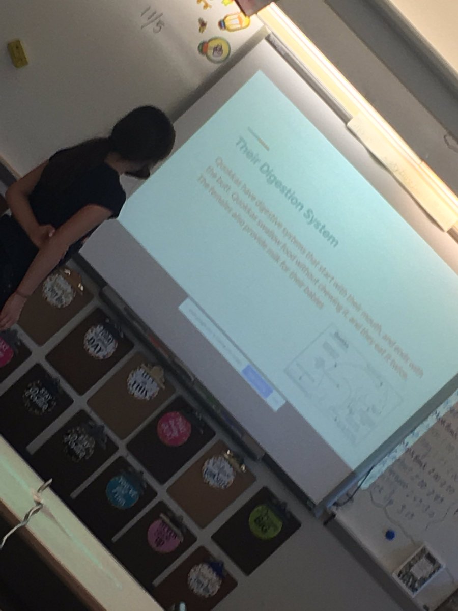GeetMrs's tweet photo. Presenting our Structure and Function projects #oneclass #thenewtogether2020 https://t.co/NLAOHyOmrG