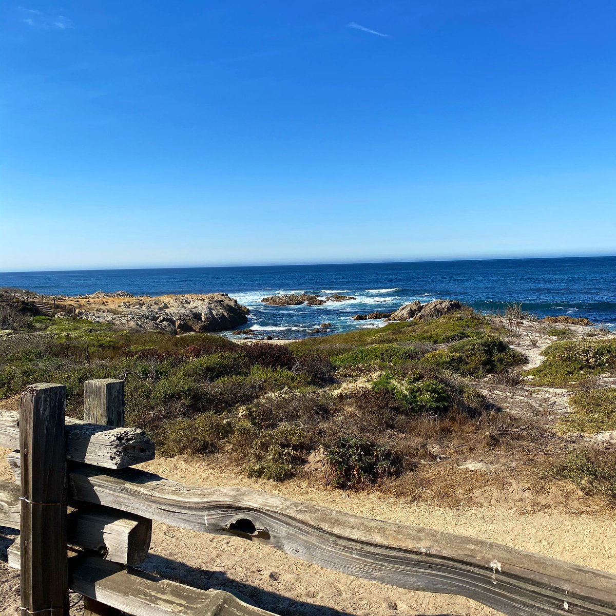 OtterAthletics's tweet photo. Our backyard > theirs πππ𦦠#ChooseMB #WeAreMB https://t.co/L2m0qJGbzg