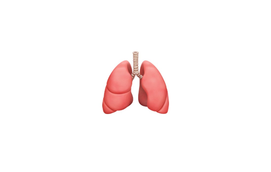 New in iOS 14.2: 🫁 Lungs https://t.co/TjReQTshzF