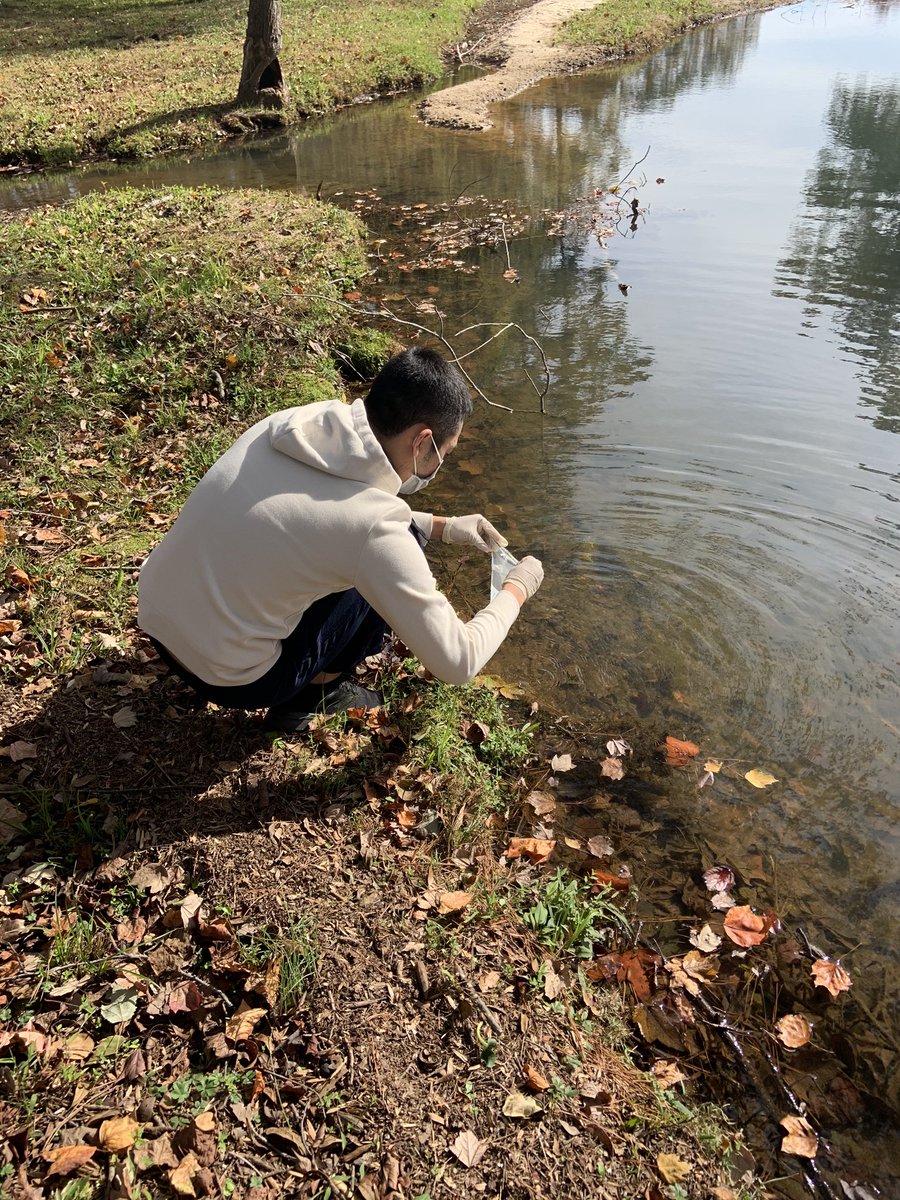 CSUWater's tweet photo. Doing our first coliform tests (total coliform and e. Coli) on our IDEXX setup. Using surface water on campus as a trial. Looking forward to collecting stream samples next week. @ClaytonState @CSUChemPhysDept https://t.co/WDb3rZIp3Y