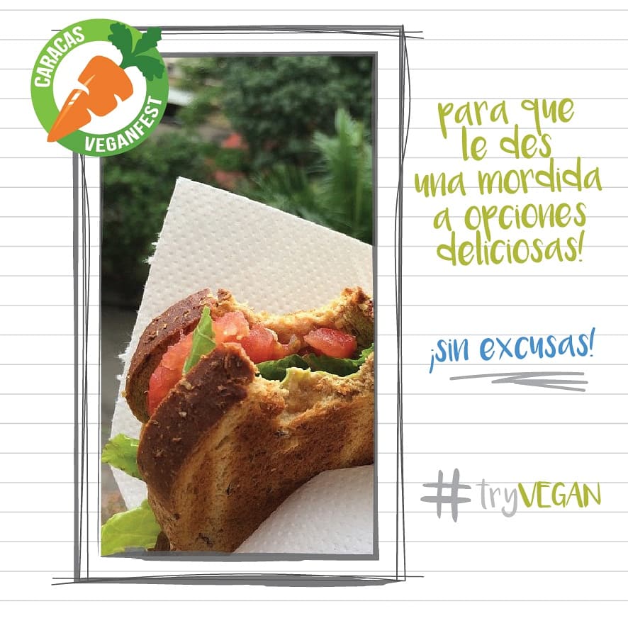 Caracas Vegan Fest tweet media