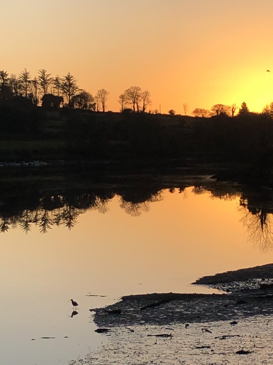 Eeebee1's tweet photo. Sunset on the Ilen river, with curlew
#WestCork #Ilen https://t.co/ZXwEhqqQR7