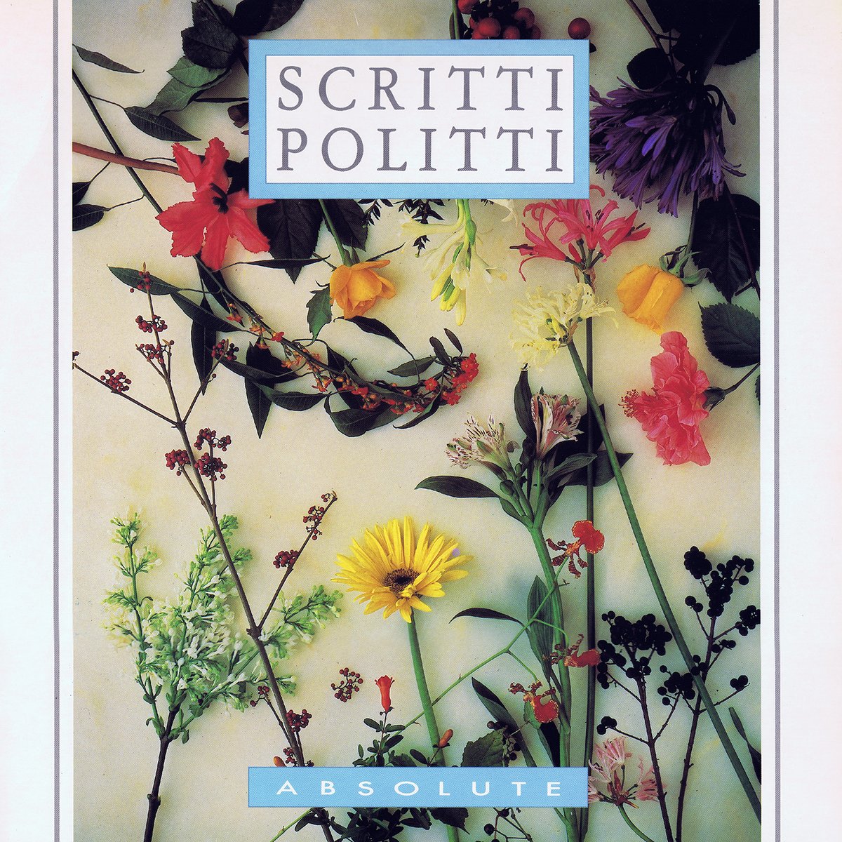 soundstoryuk's tweet photo. ❤️
#nowplaying #12inch80s #vinyl
Scritti Politti - Absolute (Version)
(1984) #ScrittiPolitti #GaryLangan
https://t.co/y1G7G9WyOE https://t.co/FaYGh8JFK7