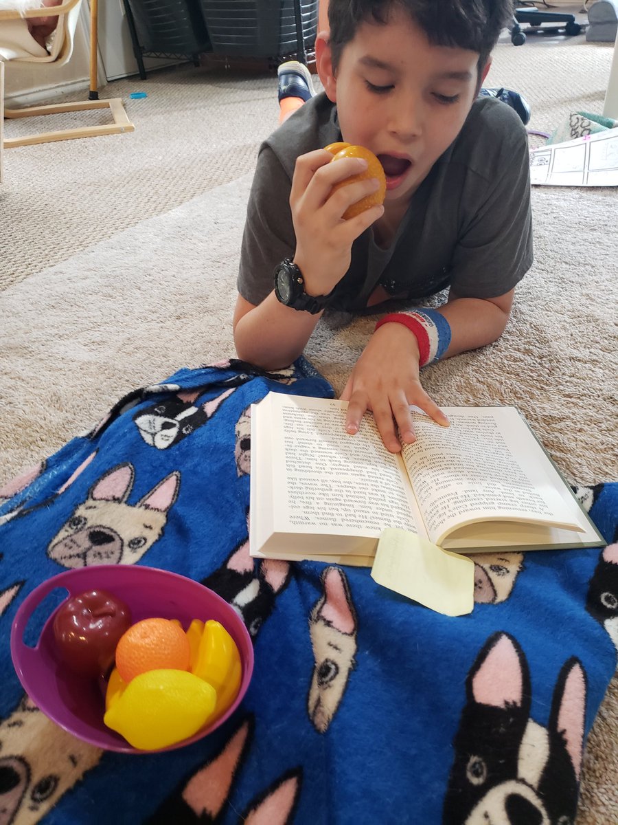 RMasMer's tweet photo. @thompsoncougars Gideons's reading picnic https://t.co/84NfI8PbU3