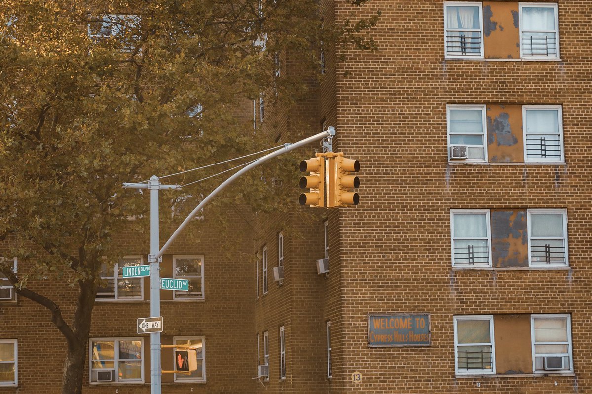 snapsoflomax's tweet photo. #PROJECTYOURSELF [CYPRESS HILLS] East New York, Brooklyn #snapsoflomax https://t.co/dO4m9tBbi2