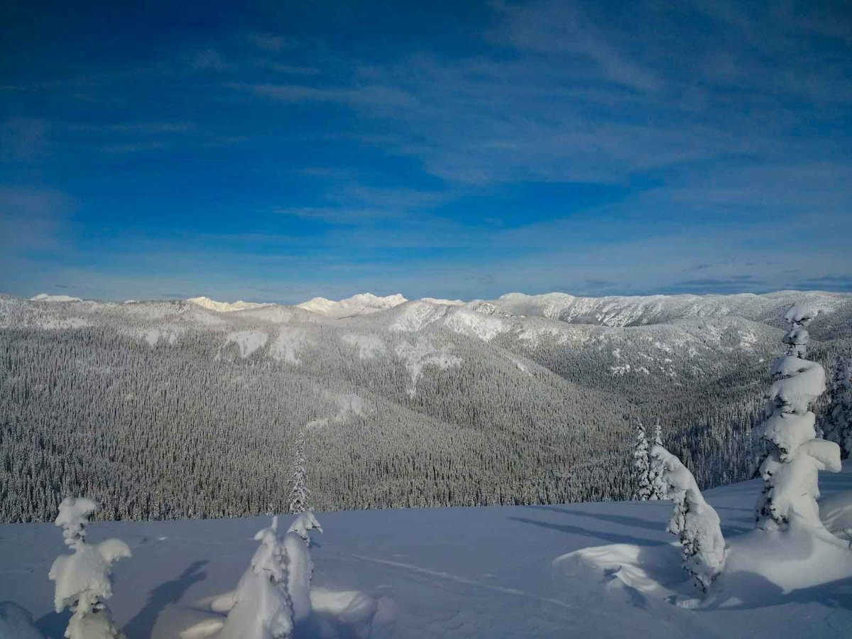 Ski touring season is nearly upon us in Canada. If you're new to the sport, find out what gear you'll need with this ski touring kit list #skiing 
herwildway.com/2020/10/27/ski…