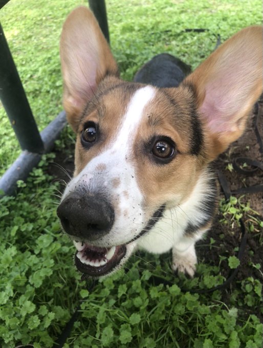 TW Pornstars - Jaybbgirl. Pictures and videos from Twitter. Page 25