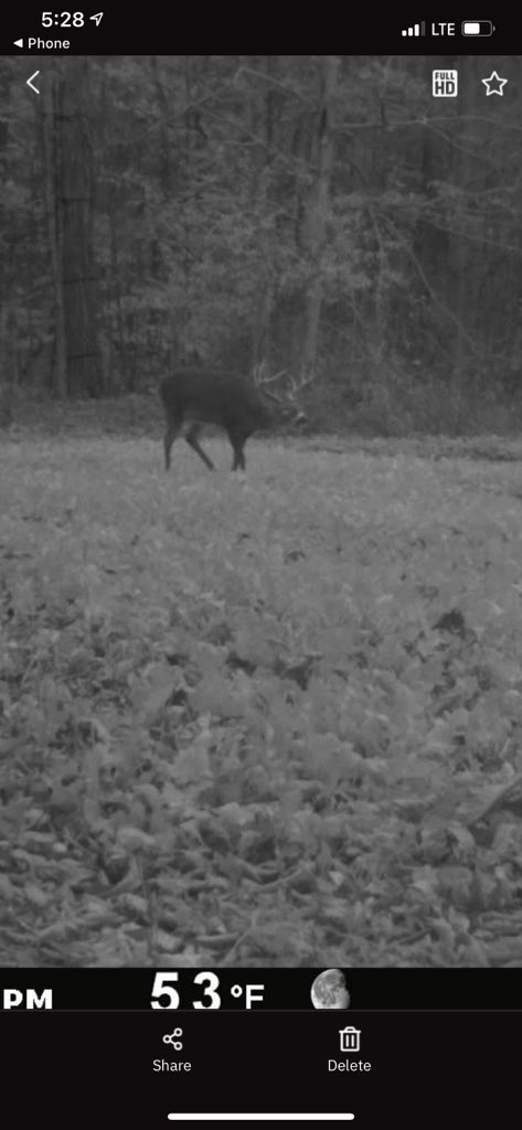 Dakota Yoder tweet media