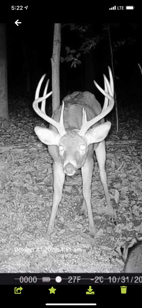 Dakota Yoder tweet media