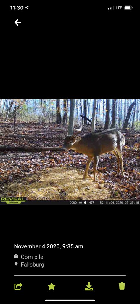 Dakota Yoder tweet media