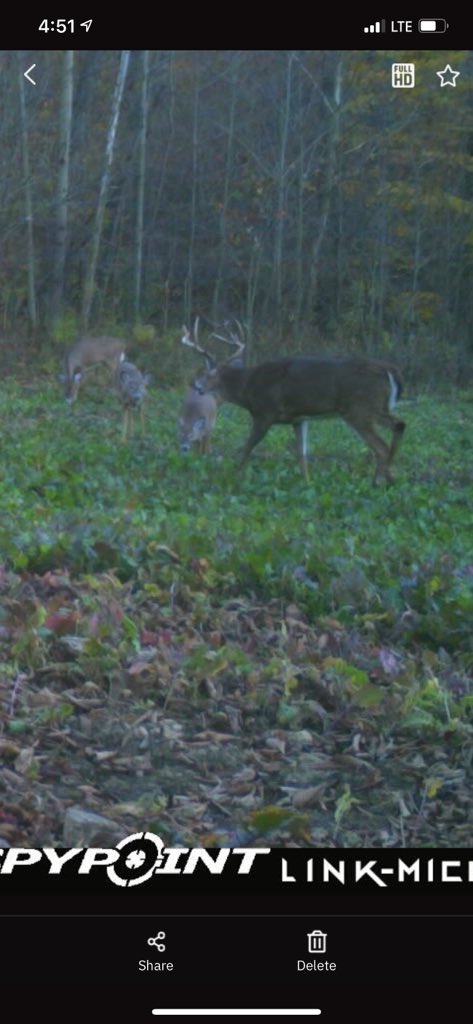 Dakota Yoder tweet media