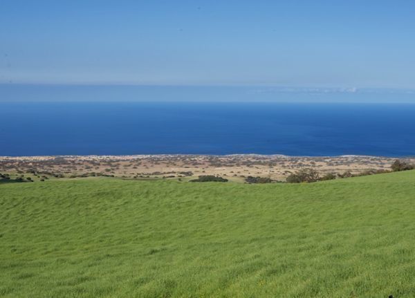 CanLightSource's tweet photo. NEWS RELEASE | Dust travelled thousands of miles to enrich Hawaiian soils
Studying soil phosphorus to help crops &amp; ecosystems.
Story: https://t.co/GNv7P2ZDMm
Partners: @agroscope @usys_ethzh @BAMResearch @snsf_ch @dfg_public @synchroSOLEIL @HZB_BESSY @esrfsynchrotron @SSRLnews https://t.co/QOqMweU4hE