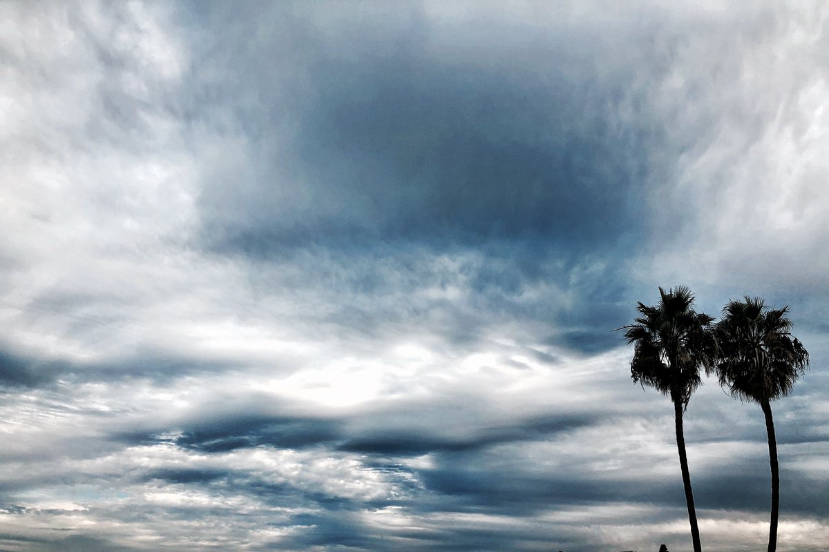 Cloud and Palm Trees in Playa Del Rey, CA.   <a href="/Playadelrey/">Playadelrey</a>