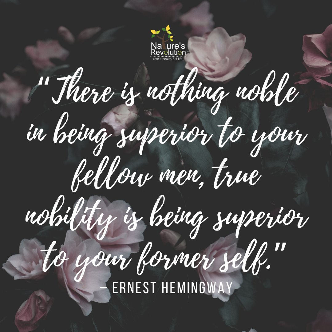 “There is nothing noble in being superior to your fellow men, true nobility is being superior to your former self.” #health #wellness #nutrition #naturesrevolution⠀#weightloss #healthylifestyle #fitnessmotivation⠀#healthyfood #fitness #workout #diet