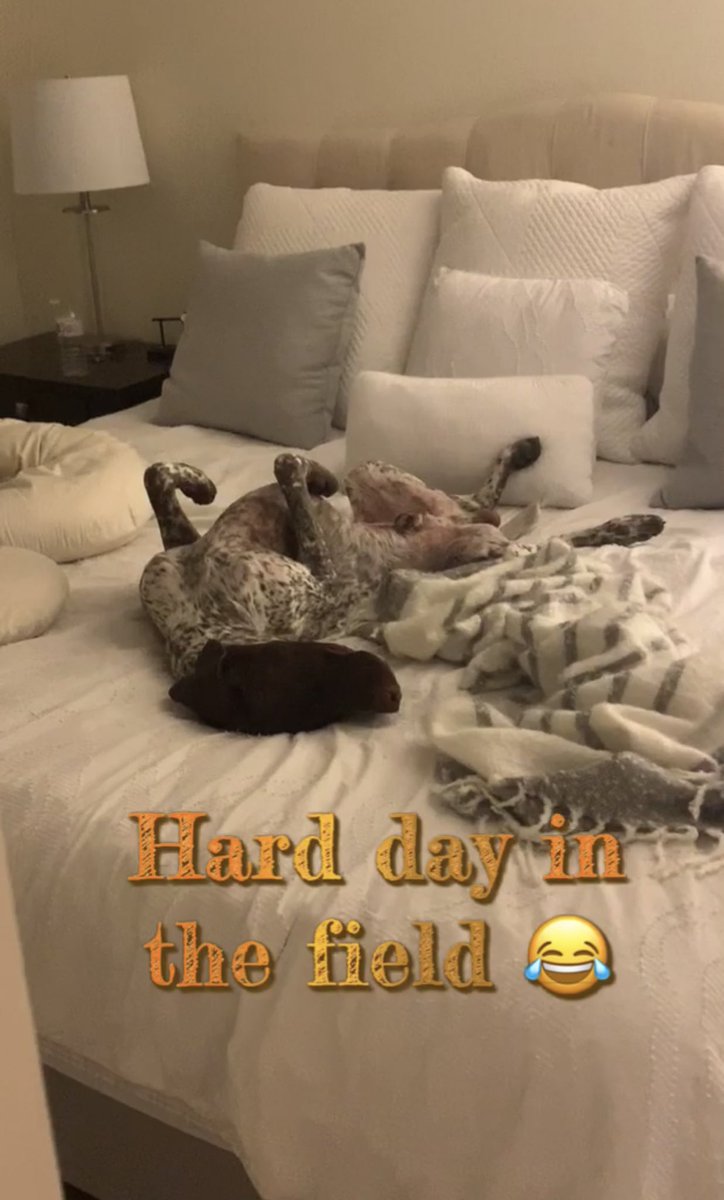 Reid Ewen tweet media