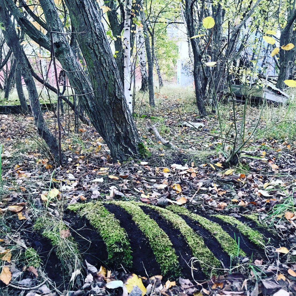 Frédéric Dilé tweet media