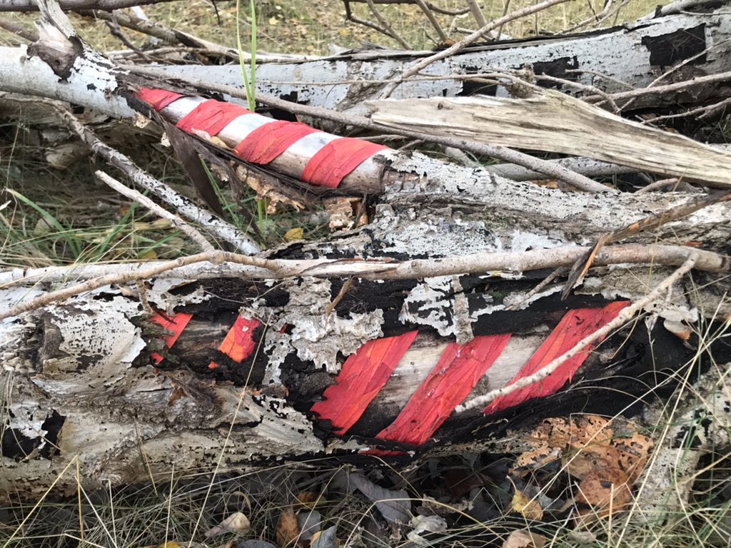 Frédéric Dilé tweet media