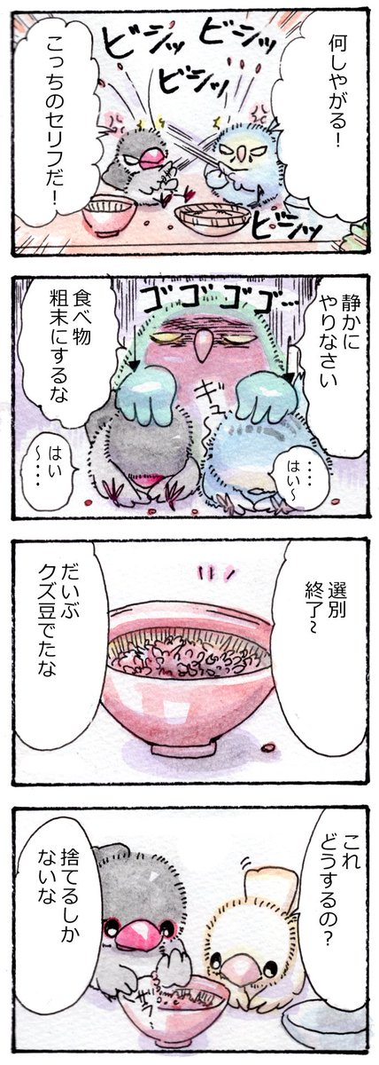 小豆の選別  続き
#かいどりさん 