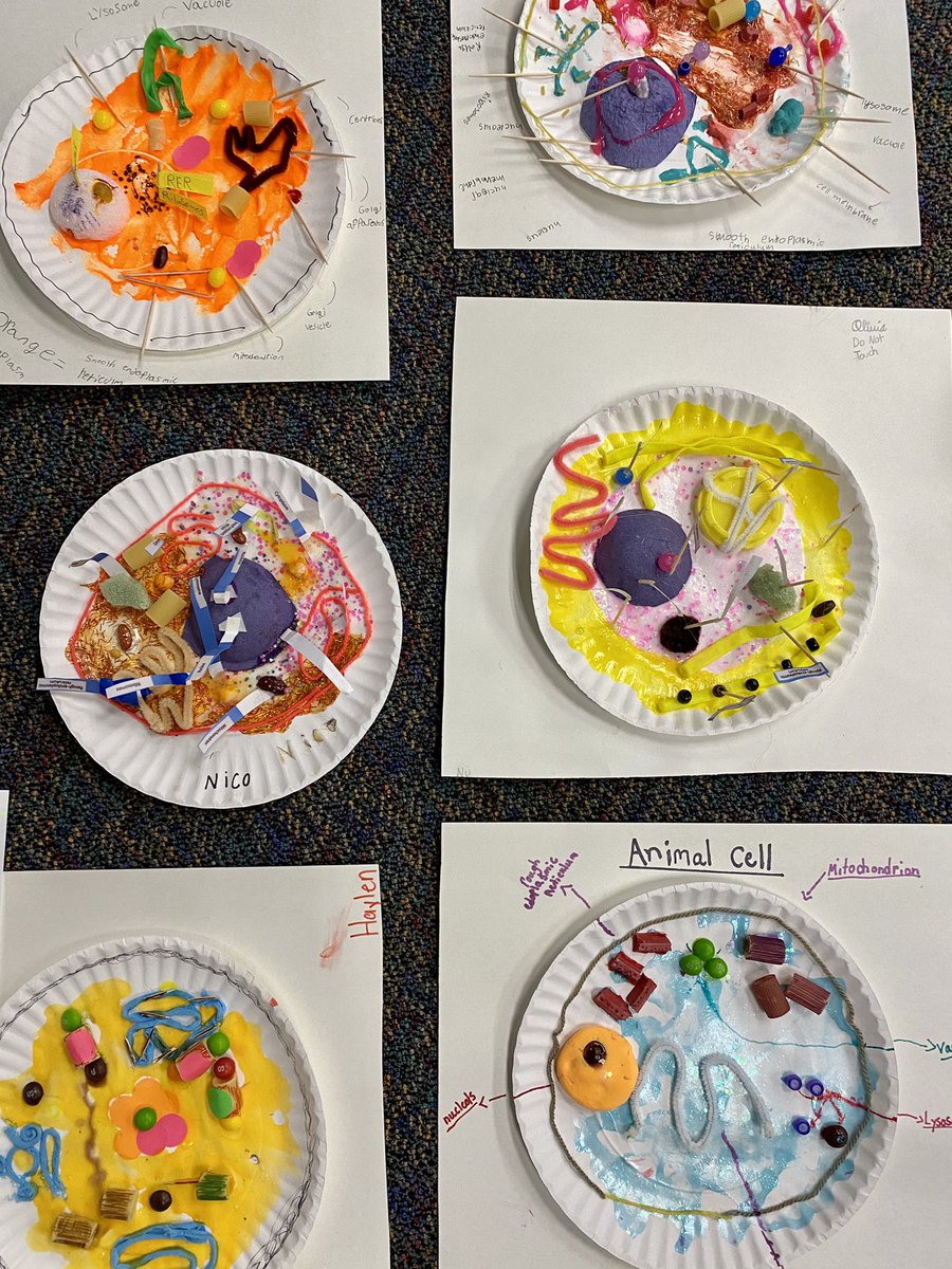CCondonBulldog's tweet photo. Making 3D models of plant and animal cells to support our inquiry of living systems 🌱🧬🦠🧫 #breckel #5thgrade #ssdedu https://t.co/xpX6ONKnlN