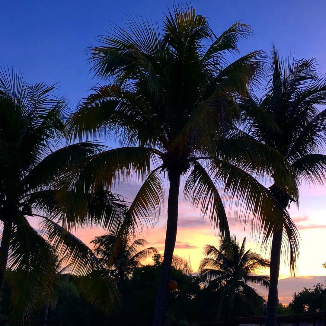 ValentinImperialMaya tweet media