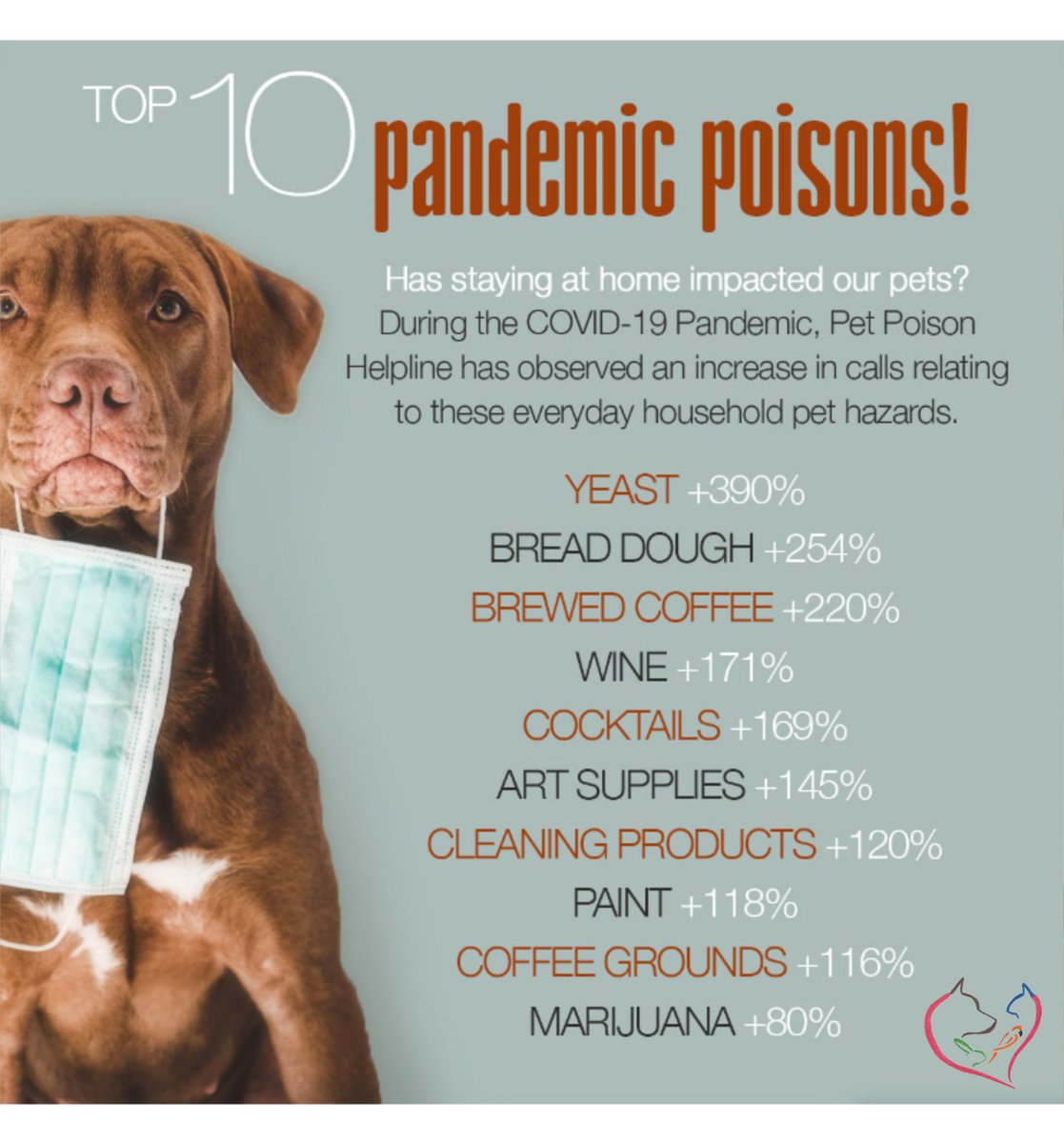 AnimalCarbon's tweet image. Looks like pets are trying to get into some pandemic activities with us...not always a good thing though. #protectyo