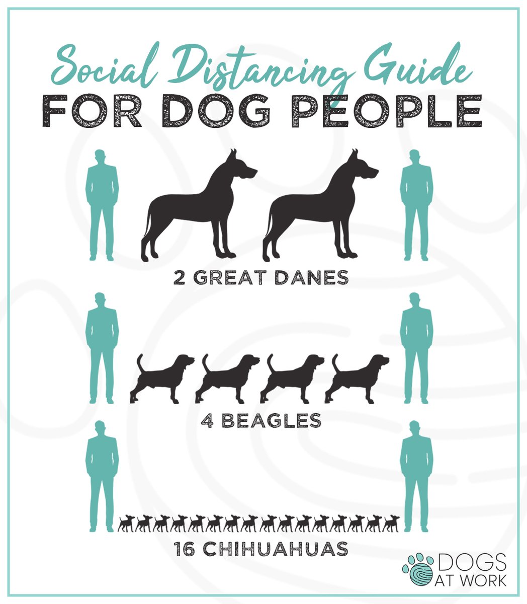 Social distancing guide for dog people.
