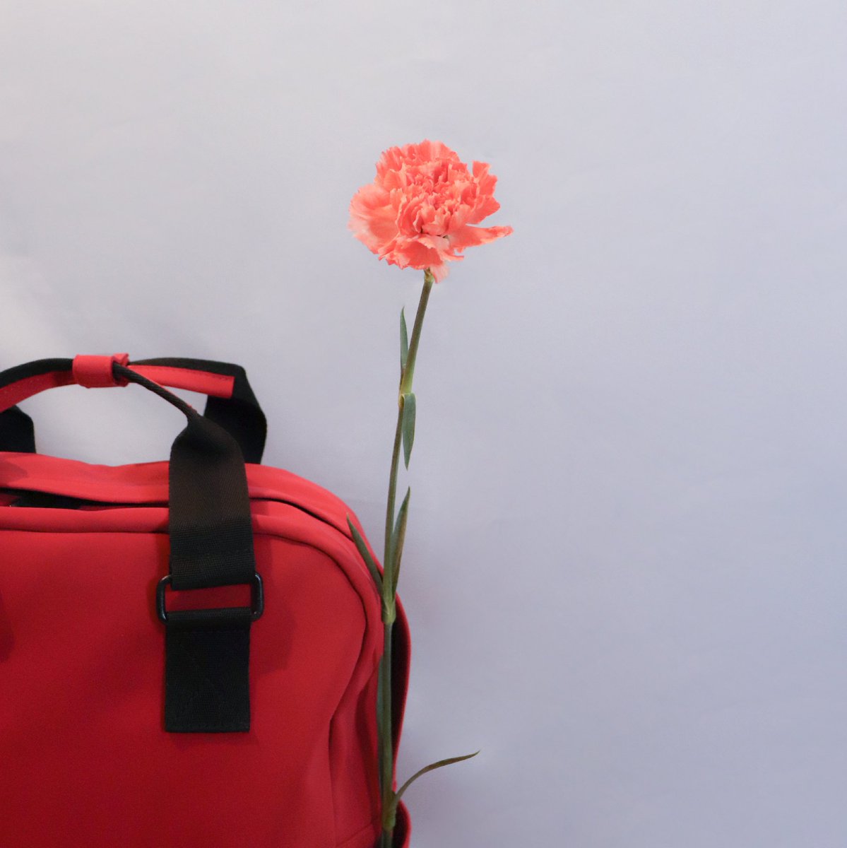 CurubaStudio's tweet image. 𓂉 flower power R E D  B AC K P A C K curuba.com.co.❁
.
.
.
#redbackpack #maletas #maletascolombianas #maletasbogotnanas #apoyemonos #curuba #somoscuruba #diseñolocal #design #diseñocolombiano #hechoamano #diseñohechoconpasion #regalacolombiano #regalaconelcorazon