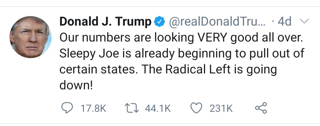 ZThomas9191's tweet photo. @realDonaldTrump Isn't this the type of "voter suppression" you were just crying about? #TrumpMeltdown https://t.co/kZEIP9ahXE