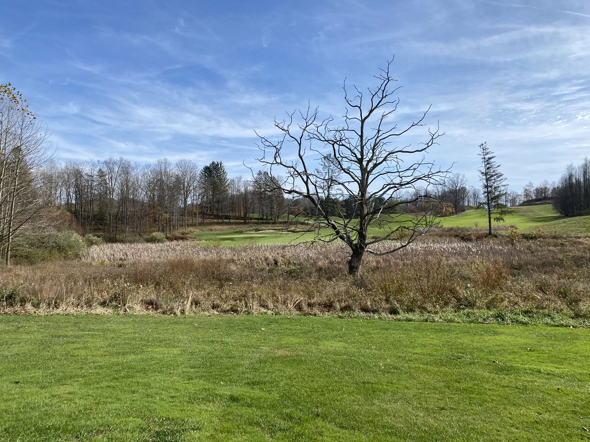 The “ghost tree” on the <a href="/stonewallresort/">Stonewall Resort</a> 17th hole.