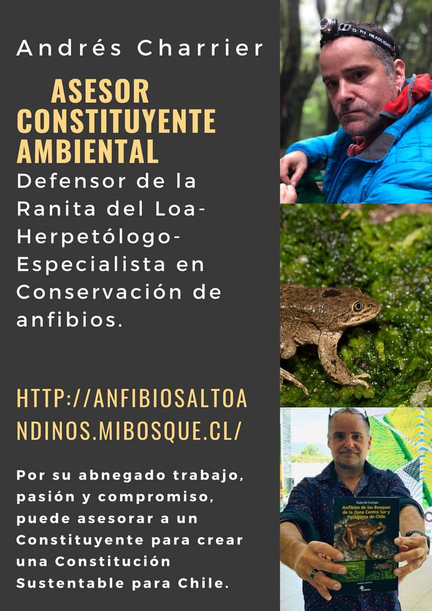 ADEFAS2001's tweet image. Porque necesitamos una nueva constitución que proteja el medio ambiente y la vida silvestre 💚 ¡¡¡Vamos con todo!!!