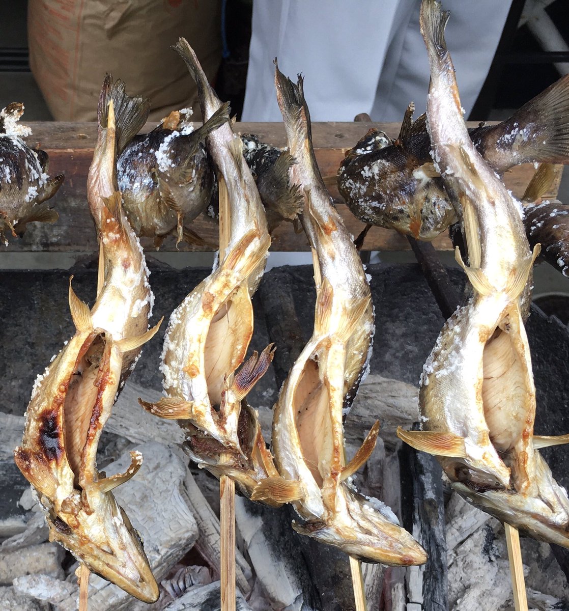 あまご塩焼き Twitter Search