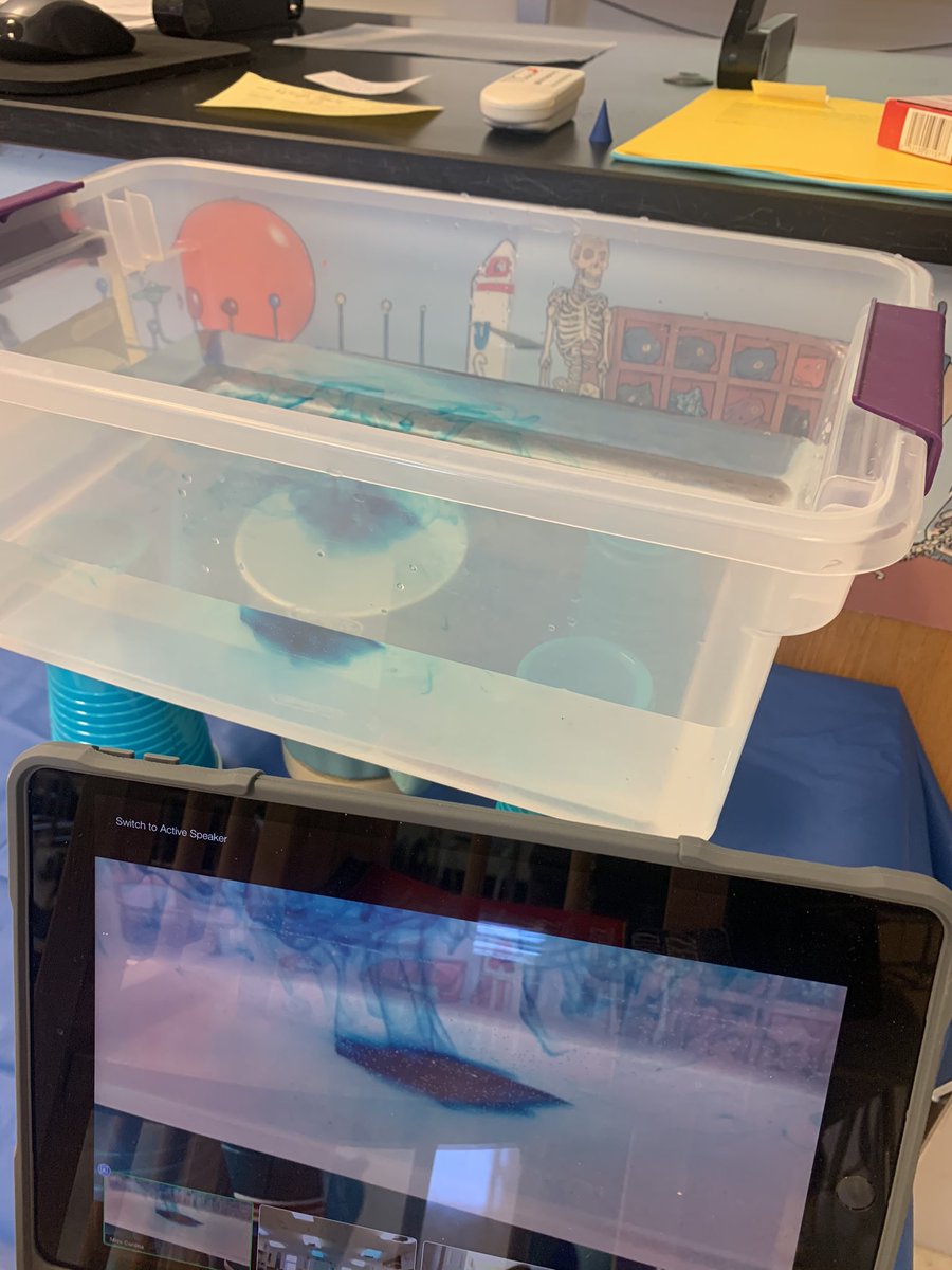 JCorona_EPSD's tweet photo. Today we did a demo on convection currents to see how tectonic plates move, & our Zoomers had a front row seat #CoronasClass #GeologyRocks #SupremeStudents #ScienceIsCool https://t.co/64oY3Wynnd
