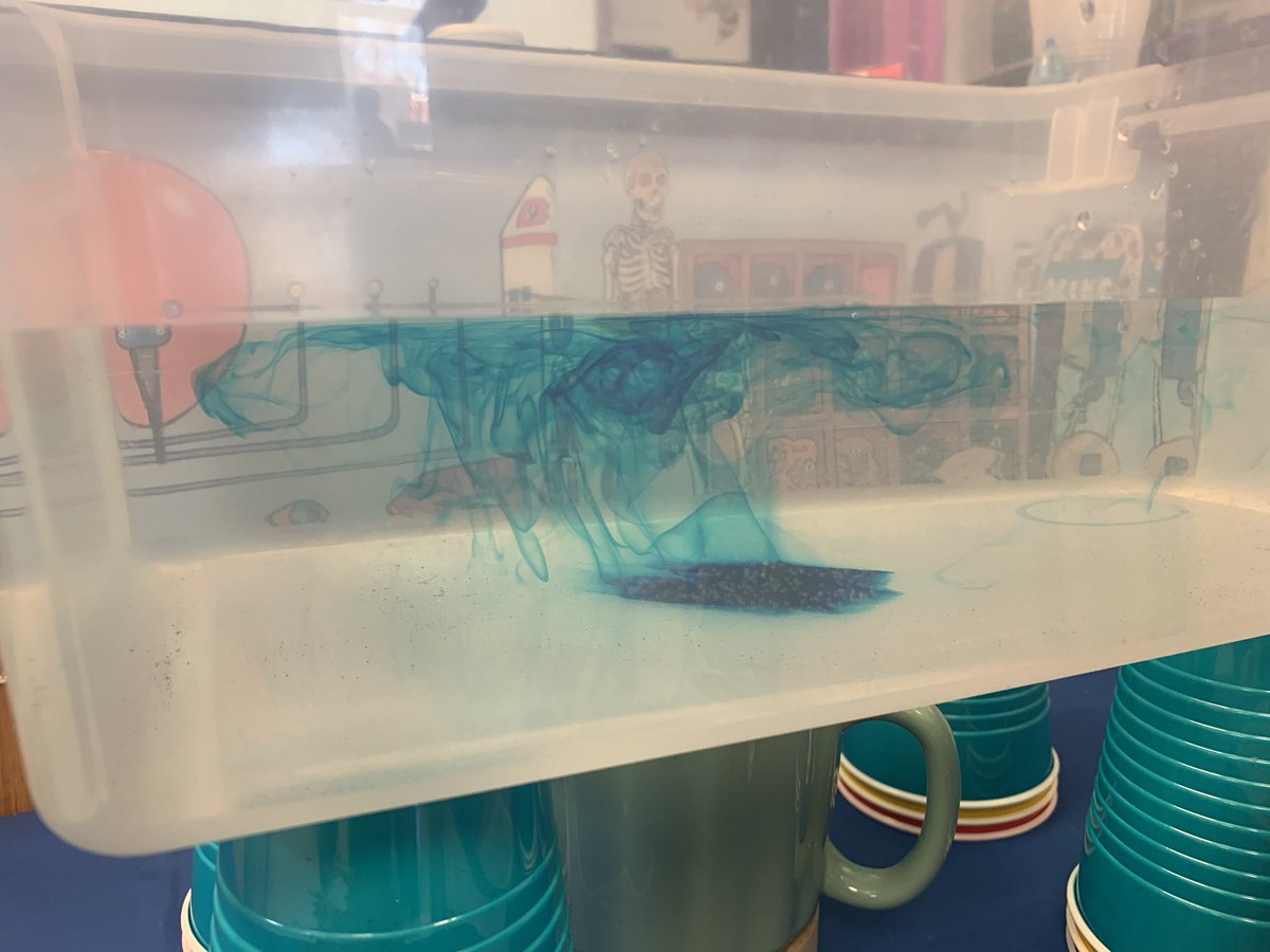 JCorona_EPSD's tweet photo. Today we did a demo on convection currents to see how tectonic plates move, & our Zoomers had a front row seat #CoronasClass #GeologyRocks #SupremeStudents #ScienceIsCool https://t.co/64oY3Wynnd