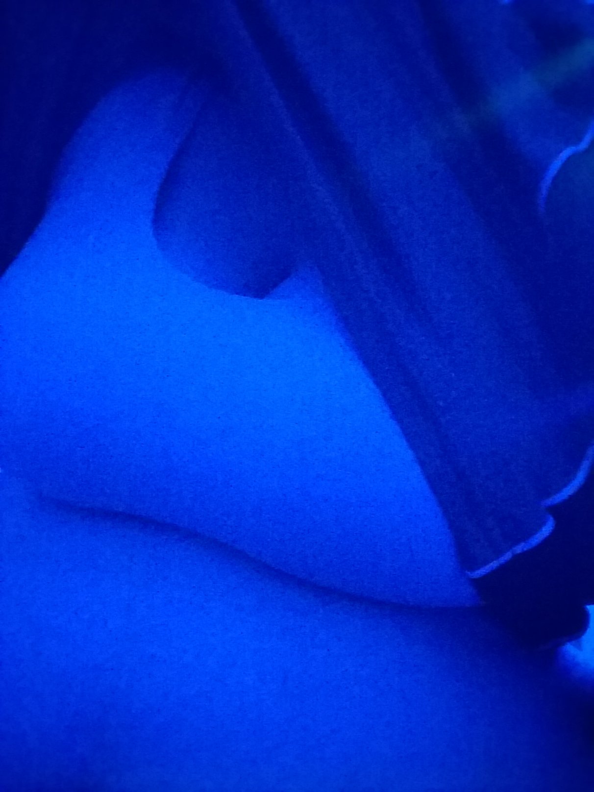 https://t.co/zBcxBOD11P My paid onlyfans has daily uploads, from pictures to videos. Free sexting/roleplaying, pre-made pics, and more. https://t.co/8szHyLpWtv