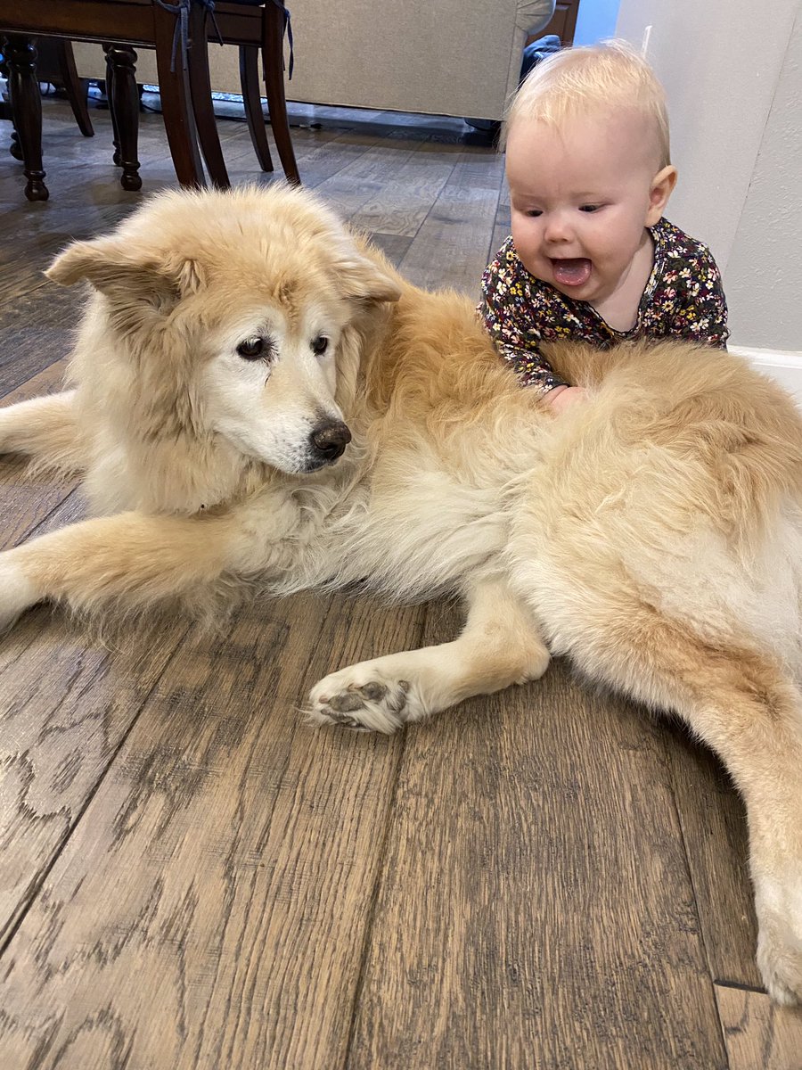 LuckyThoughts1's tweet photo. Hanging with my new roommate. https://t.co/sWEI8JEGQG
