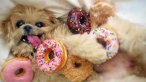 Happy #Donutweek #Victoria!

Well done! We're so proud of you! 😍

#DonutDay #Melbourne #Covid19VicData #COVID19Victoria #COVID19Vic