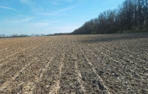 eric_ifft's tweet photo. Photo on left taken taken November 5 after making strips.  Chickweed galore.  Autumn super applied the next day.  Photo on right is same field April 10!!   No winter annuals and ready to plant!!! @AGDKC_ECIL https://t.co/CIdctvjoXY