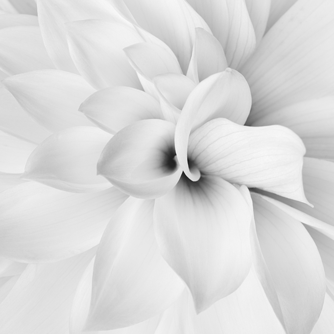 TheUnitedProj's tweet photo. How often do you stop to TAKE NOTICE of the small things going on around you? 🌷Be curious 🌷Savour the moment 🌷Be aware of the world around you and what you are feeling. 📷 Gus Busselo. #wellbeing #takenotice #inthemoment #reversementalillness #theunitedproject https://t.co/nVfbhNZ6FL