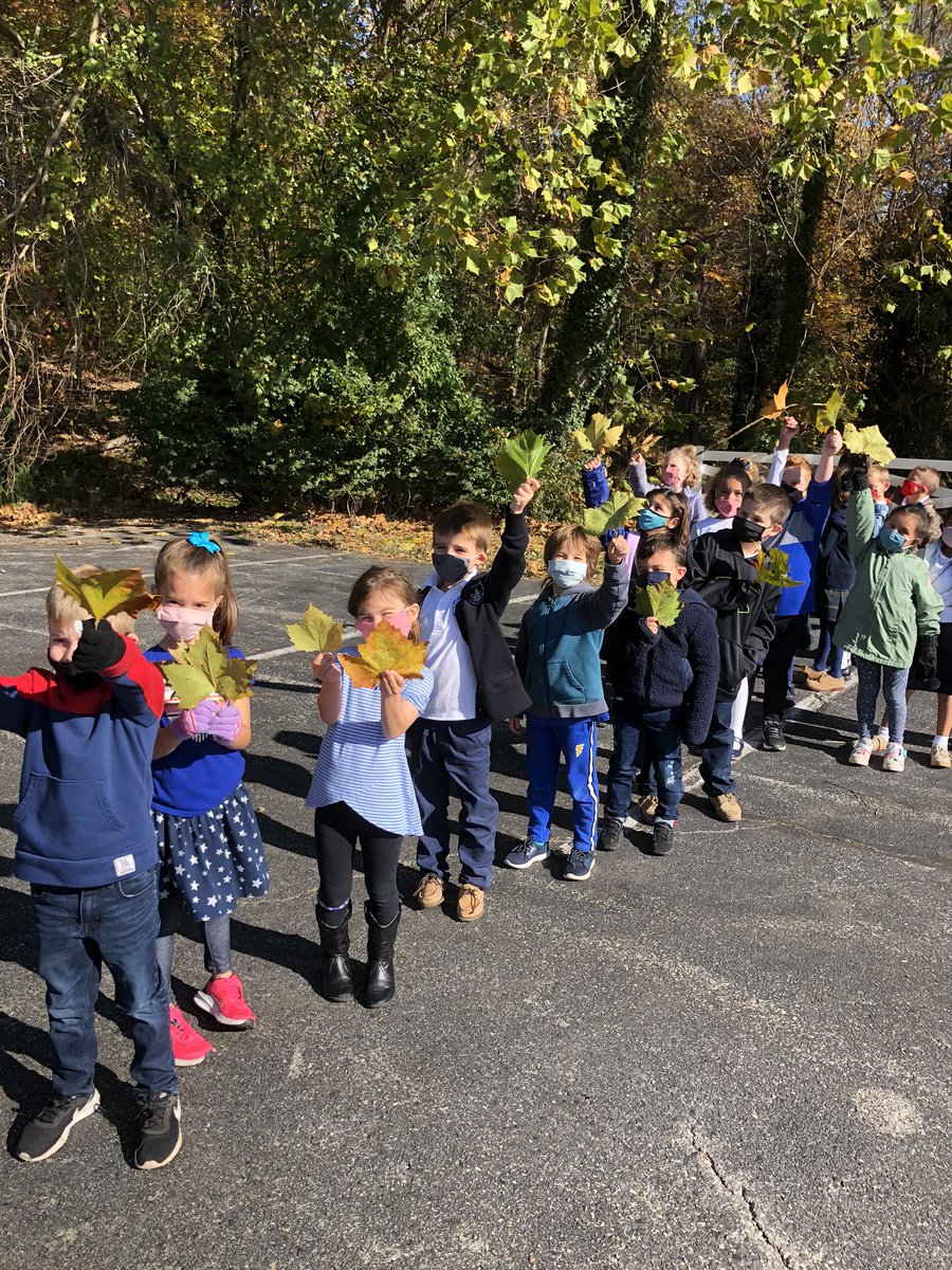 MarieMu83840428's tweet photo. SAS pre-k &amp; K angels checking out the changing Autumn leaves &amp; enjoying our beautiful campus. @StAugustineElem @MrMillerSAS @mrskaplanSAS @JennySoveroRoss @Rhonnie_joy @ArchbaltSchools @CCASTAcom @DeniseBall_EDU https://t.co/AaMDPe8cxI